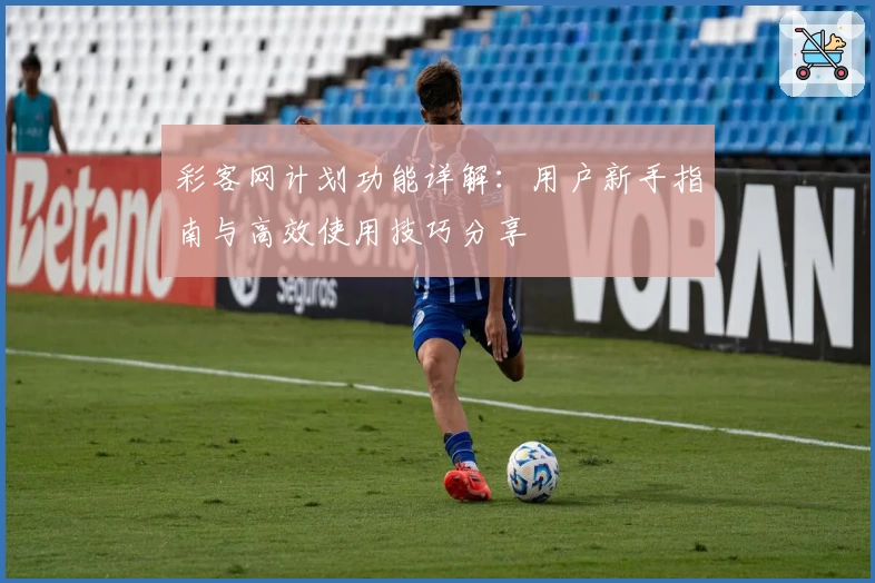 彩客网计划功能详解:用户新手指南与高效使用技巧分享