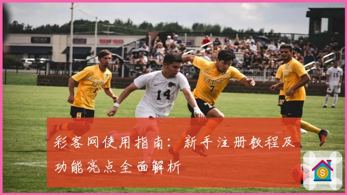 彩客网使用指南：新手注册教程及功能亮点全面解析