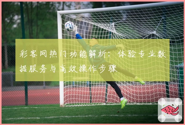 彩客网热门功能解析：体验专业数据服务与高效操作步骤