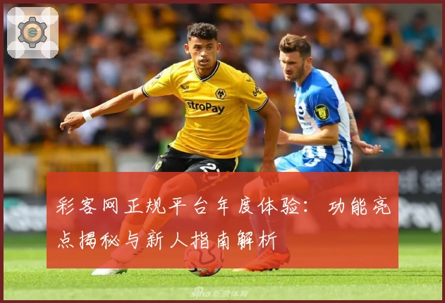 彩客网正规平台年度体验:功能亮点揭秘与新人指南解析