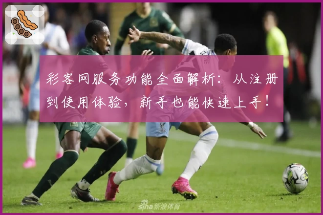 彩客网服务功能全面解析：从注册到使用体验，新手也能快速上手！