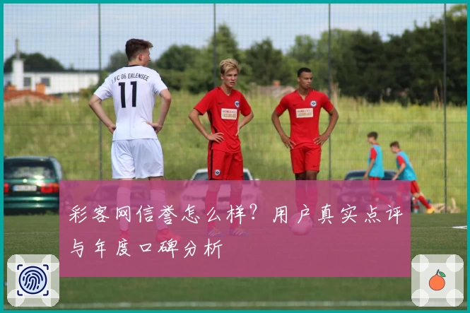 彩客网信誉怎么样?用户真实点评与年度口碑分析